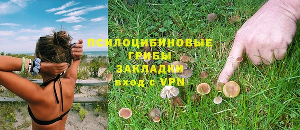 мдпв Абинск