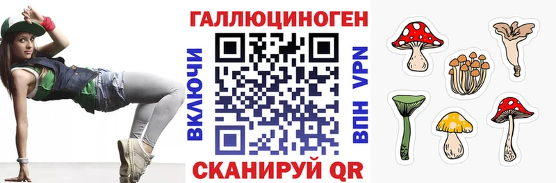 Галлюциногенные грибы Psilocybine cubensis Тулун